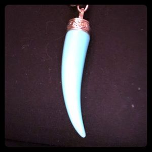 Long Turquoise Horn necklace ~rare